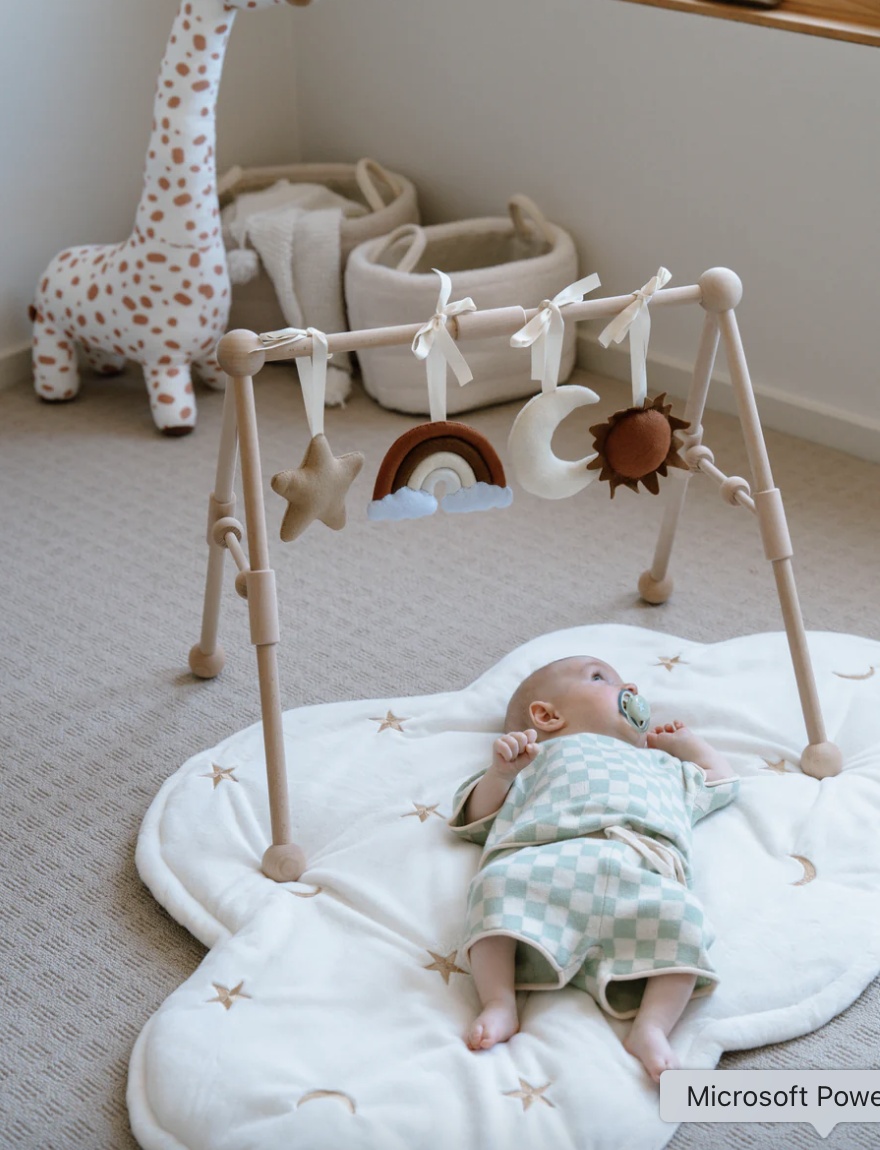 Activity Gym Toy Set